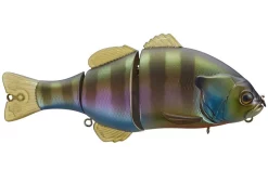 Jackall Gantarel Jr Bluegill Swimbait Acqua Dolce 17 Jackall Gantarel Jr Bluegill Swimbait Acqua Dolce -Negozio Strumenti Pesca Economico mattebluegill 1080x1080
