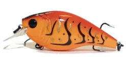 6th Sense Cloud 9 MiniMag Squarebill Crankbait Acqua Dolce -Negozio Strumenti Pesca Economico minimag boiled 1080x1080