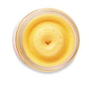 Berkley Powerbait Trout Bait 1,75oz Jar 19 Berkley Powerbait Trout Bait 1,75oz Jar - immagine 19