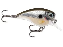 Acqua Dolce Rapala BX Brat Crankbait -Negozio Strumenti Pesca Economico pearlgreyshiner 1080x1080