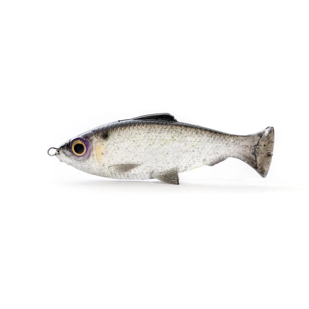 Savage Gear Pulse Tail Baitfish LB 4" Nuota D'acqua Dolce 1 Savage Gear Pulse Tail Baitfish LB 4" Nuota D'acqua Dolce