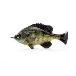 Selvaggio Gear Pulse Tail Bluegill LB 4" 12 Selvaggio Gear Pulse Tail Bluegill LB 4" -Negozio Strumenti Pesca Economico pulsetailbluegill lb bluegill 1080x1080