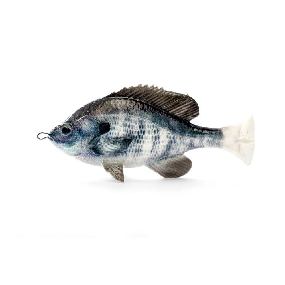 Selvaggio Gear Pulse Tail Bluegill LB 4" 3 Selvaggio Gear Pulse Tail Bluegill LB 4" - immagine 3