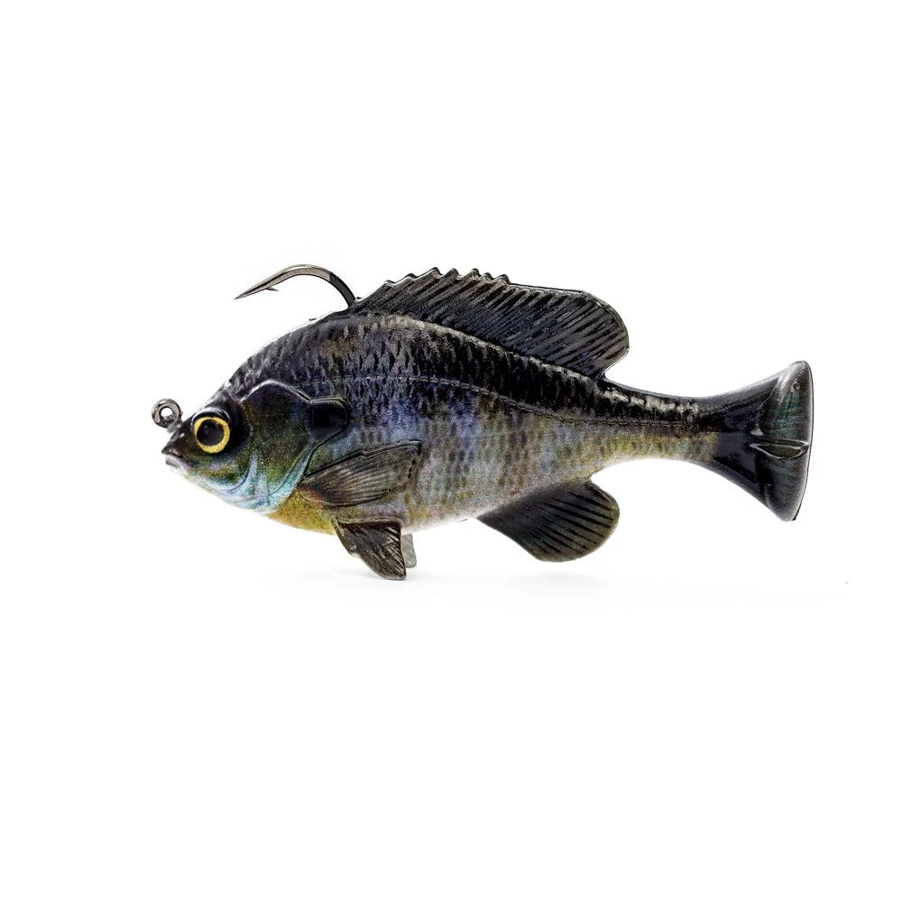 Savage Gear Pulse Tail Bluegill RTF 4" Swimbait 5 Savage Gear Pulse Tail Bluegill RTF 4" Swimbait - immagine 5