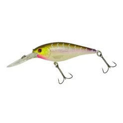 Berkley Flicker Shad 41 Berkley Flicker Shad -Negozio Strumenti Pesca Economico purpletiger 1080x1080