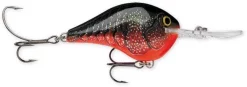 Rapala DT (Dives-To) Crankbait Acqua Dolce