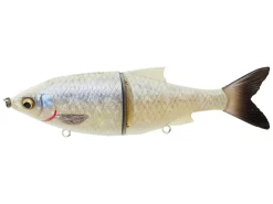 Savage Gear 3D Roach Magnum Shine Glide 230mm -Negozio Strumenti Pesca Economico rs 1 478bd99d f48d 4e7b ab33 12d261e36232 1080x1080