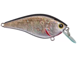 Lucky Craft KJ Flat 1.5 Crankbait -Negozio Strumenti Pesca Economico rs 25 1080x1080