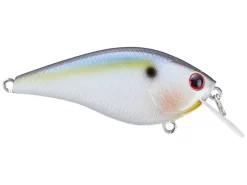 Lucky Craft KJ Flat 1.5 Crankbait -Negozio Strumenti Pesca Economico rs 26 1080x1080
