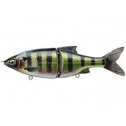 Selvaggio Gear 3D Roach Shine Glide 135mm 13 Selvaggio Gear 3D Roach Shine Glide 135mm -Negozio Strumenti Pesca Economico rs.php path SG3DG BGL 1 grande 7a0e31a5 0ffc 4015 b801 4df5502add35 1080x1080