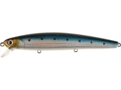 Saltwater Lucky Craft Flash Minnow 110 CIF Jerkbait 45 Saltwater Lucky Craft Flash Minnow 110 CIF Jerkbait -Negozio Strumenti Pesca Economico rs 21f4f8bc 662e 4306 a54e 49a27d69ed93 1080x1080