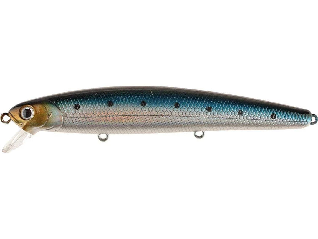 Saltwater Lucky Craft Flash Minnow 110 CIF Jerkbait 12 Saltwater Lucky Craft Flash Minnow 110 CIF Jerkbait - immagine 12