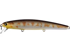 Saltwater Lucky Craft Flash Minnow 110 CIF Jerkbait 53 Saltwater Lucky Craft Flash Minnow 110 CIF Jerkbait -Negozio Strumenti Pesca Economico rs 25d0f2fc c282 4ffc ab38 cf2720ae6250 1080x1080