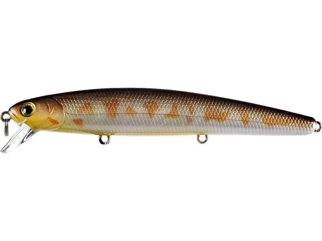 Saltwater Lucky Craft Flash Minnow 110 CIF Jerkbait 20 Saltwater Lucky Craft Flash Minnow 110 CIF Jerkbait - immagine 20