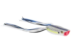 SPRO Dean Rojas Bronzeye Baby Popper 40 Acqua Dolce 17 SPRO Dean Rojas Bronzeye Baby Popper 40 Acqua Dolce -Negozio Strumenti Pesca Economico rs 7a58f847 6d2f 42c1 8b27 06df20e2a39f 1080x1080