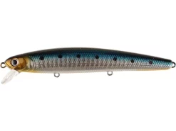 Saltwater Lucky Craft Flash Minnow 110 CIF Jerkbait 48 Saltwater Lucky Craft Flash Minnow 110 CIF Jerkbait -Negozio Strumenti Pesca Economico rs 82a58987 8c25 41c3 b3a6 8a6b21293c19 1080x1080