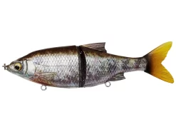 Selvaggio Gear 3D Roach Shine Glide 185 Millimetri D'acqua Dolce -Negozio Strumenti Pesca Economico rs 9543aa79 1787 4548 aaf0 db815b78573a 1080x1080