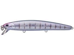 Saltwater Lucky Craft Flash Minnow 110 CIF Jerkbait 51 Saltwater Lucky Craft Flash Minnow 110 CIF Jerkbait -Negozio Strumenti Pesca Economico rs e17cae27 863d 4c44 84ed cc2eb9417769 1080x1080