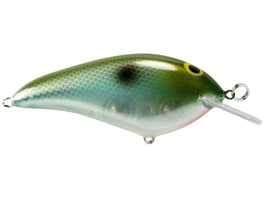 Norman Lures Acqua Dolce Norman Speed N' Crank Squarebill 3 Norman Lures Acqua Dolce Norman Speed N' Crank Squarebill - immagine 3
