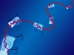 Megabass S-Crank 2.0 Acqua Dolce 13 Megabass S-Crank 2.0 Acqua Dolce -Negozio Strumenti Pesca Economico s crank action 1080x1080