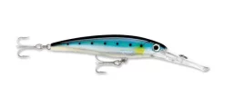 Rapala X-Rap XRMAG-20 Divebait 20" 11 Rapala X-Rap XRMAG-20 Divebait 20" -Negozio Strumenti Pesca Economico sardine 6278010f ae39 4ca4 bec7 21810932d8bc 1080x1080