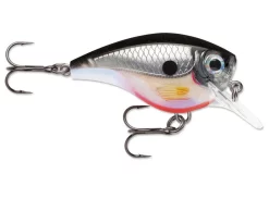 Acqua Dolce Rapala BX Brat Crankbait -Negozio Strumenti Pesca Economico silver e97fca2e 83e0 4dcb b39f 0ccff662dd2d 1080x1080