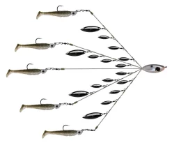 Acqua Dolce Picasso Scuola E Rig Sweet 16